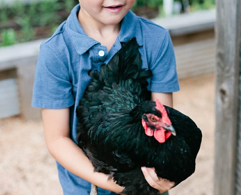Boy with Chicken Staying at Carlton Landing